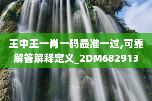 王中王一肖一码最准一过,可靠解答解释定义_2DM682913