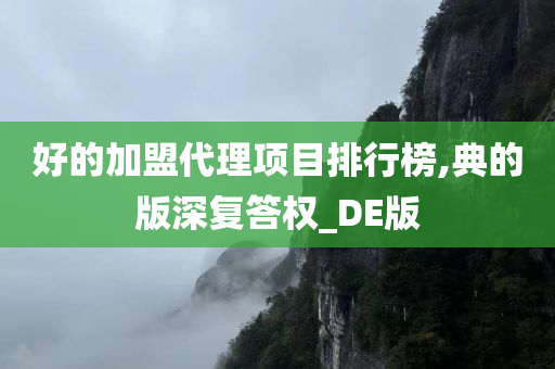 好的加盟代理项目排行榜,典的版深复答权_DE版