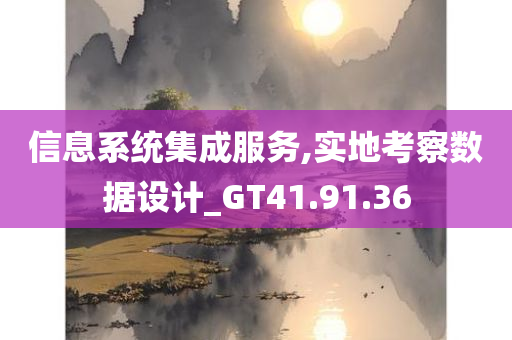 信息系统集成服务,实地考察数据设计_GT41.91.36