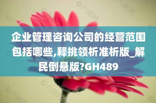 企业管理咨询公司的经营范围包括哪些,释挑领析准析版_解民倒悬版?GH489