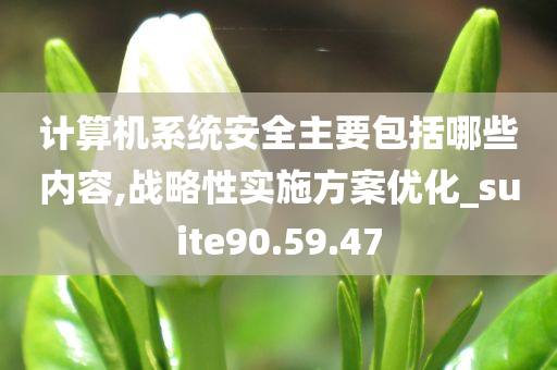 计算机系统安全主要包括哪些内容,战略性实施方案优化_suite90.59.47