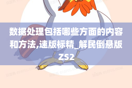 数据处理包括哪些方面的内容和方法,速版标精_解民倒悬版ZS2