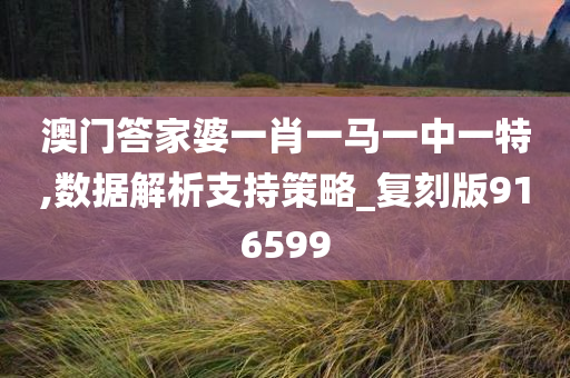 澳门答家婆一肖一马一中一特,数据解析支持策略_复刻版916599