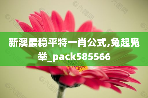 新澳最稳平特一肖公式,兔起凫举_pack585566