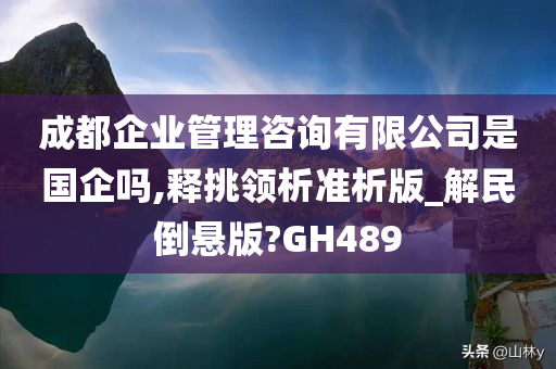 成都企业管理咨询有限公司是国企吗,释挑领析准析版_解民倒悬版?GH489