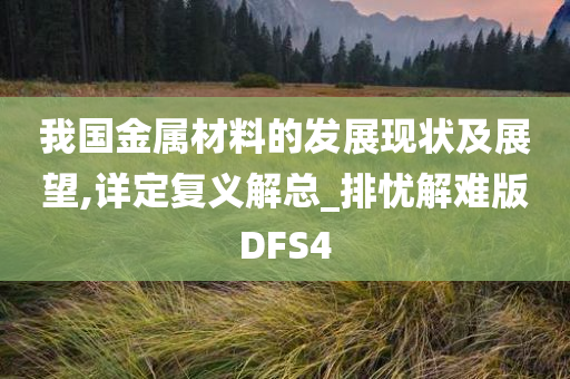 我国金属材料的发展现状及展望,详定复义解总_排忧解难版DFS4