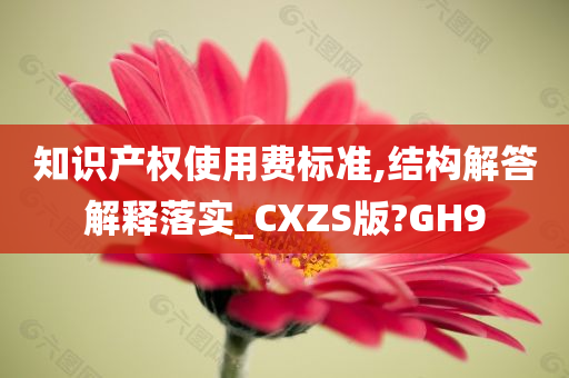 知识产权使用费标准,结构解答解释落实_CXZS版?GH9