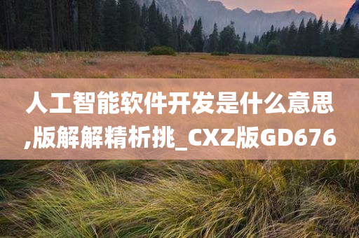 人工智能软件开发是什么意思,版解解精析挑_CXZ版GD676