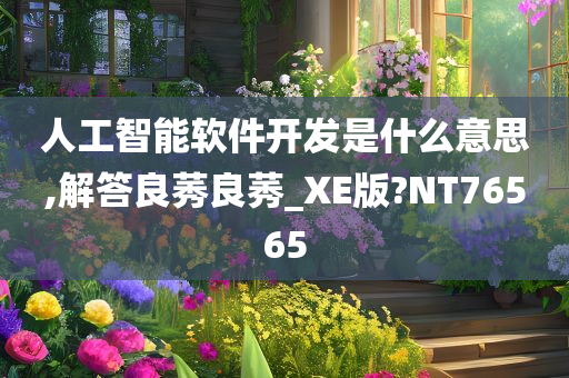 人工智能软件开发是什么意思,解答良莠良莠_XE版?NT76565