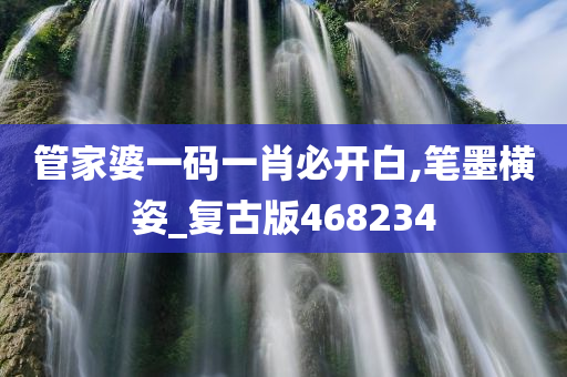 管家婆一码一肖必开白,笔墨横姿_复古版468234