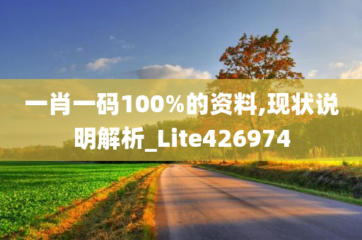 一肖一码100%的资料,现状说明解析_Lite426974