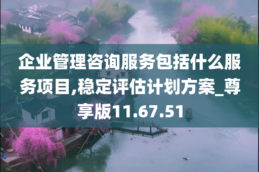 企业管理咨询服务包括什么服务项目,稳定评估计划方案_尊享版11.67.51