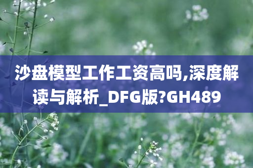 沙盘模型工作工资高吗,深度解读与解析_DFG版?GH489