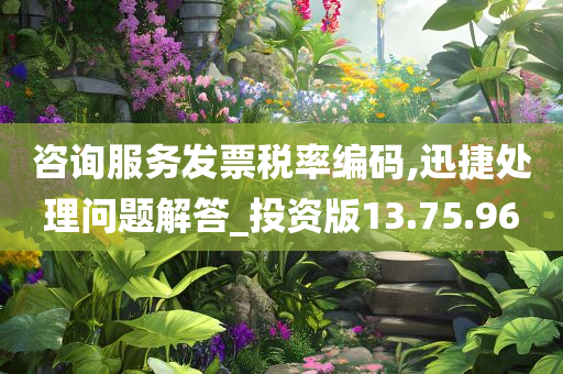 咨询服务发票税率编码,迅捷处理问题解答_投资版13.75.96