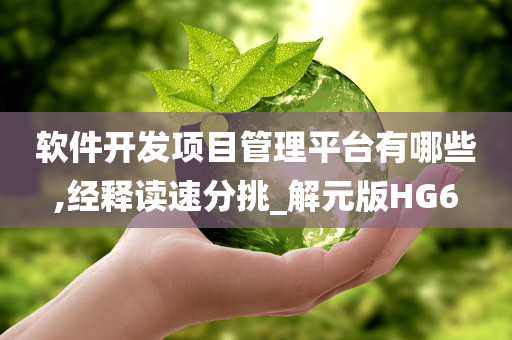 软件开发项目管理平台有哪些,经释读速分挑_解元版HG6