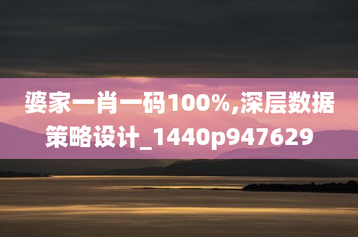 婆家一肖一码100%,深层数据策略设计_1440p947629