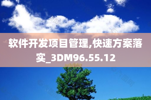 软件开发项目管理,快速方案落实_3DM96.55.12