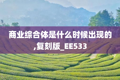 商业综合体是什么时候出现的,复刻版_EE533