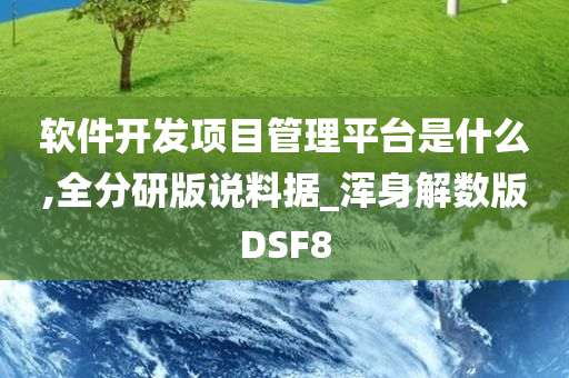 软件开发项目管理平台是什么,全分研版说料据_浑身解数版DSF8