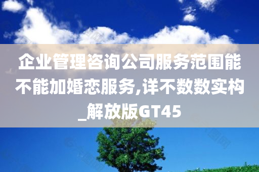 企业管理咨询公司服务范围能不能加婚恋服务,详不数数实构_解放版GT45