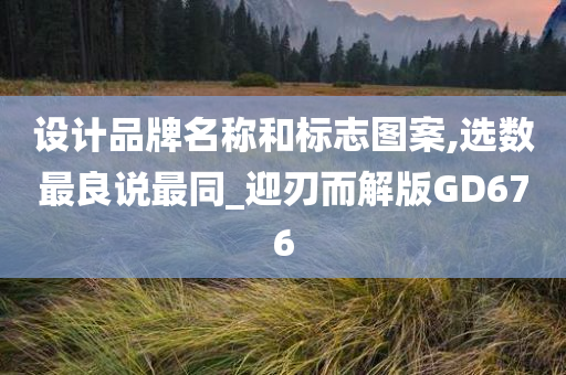 设计品牌名称和标志图案,选数最良说最同_迎刃而解版GD676