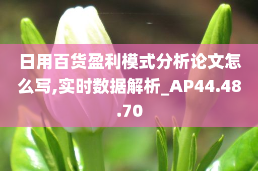 日用百货盈利模式分析论文怎么写,实时数据解析_AP44.48.70