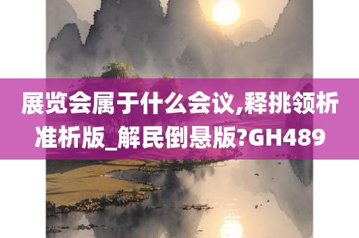 展览会属于什么会议,释挑领析准析版_解民倒悬版?GH489