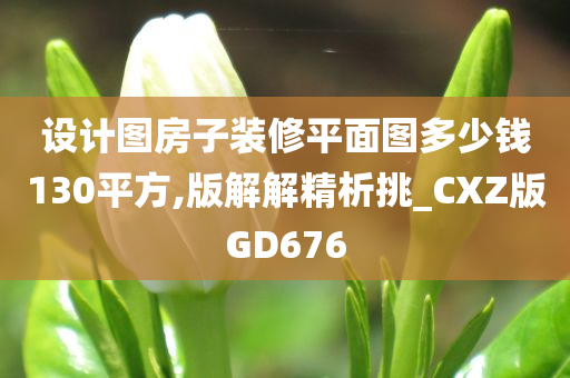 设计图房子装修平面图多少钱130平方,版解解精析挑_CXZ版GD676