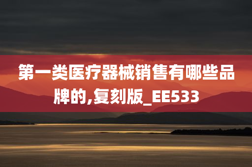 第一类医疗器械销售有哪些品牌的,复刻版_EE533