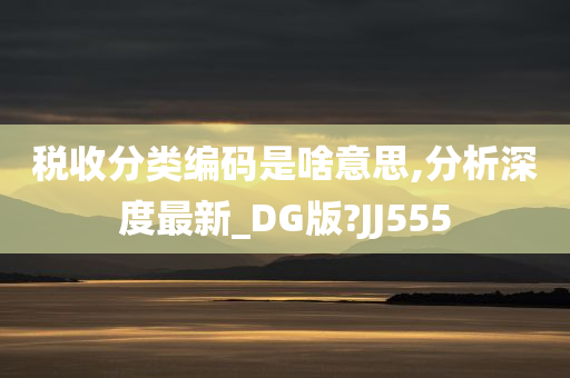 税收分类编码是啥意思,分析深度最新_DG版?JJ555