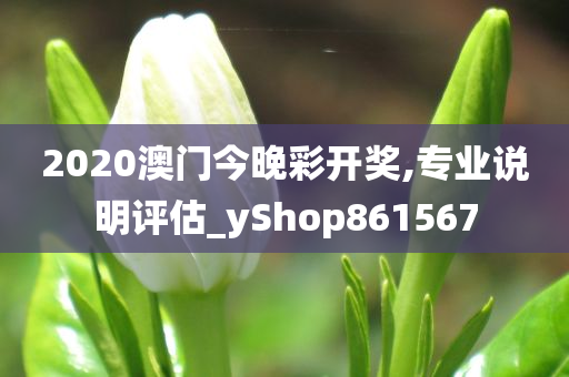 2020澳门今晚彩开奖,专业说明评估_yShop861567