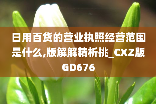 日用百货的营业执照经营范围是什么,版解解精析挑_CXZ版GD676