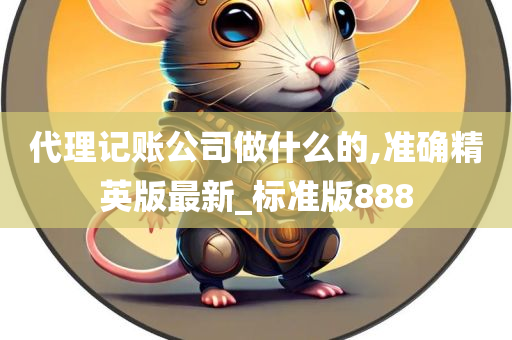 代理记账公司做什么的,准确精英版最新_标准版888