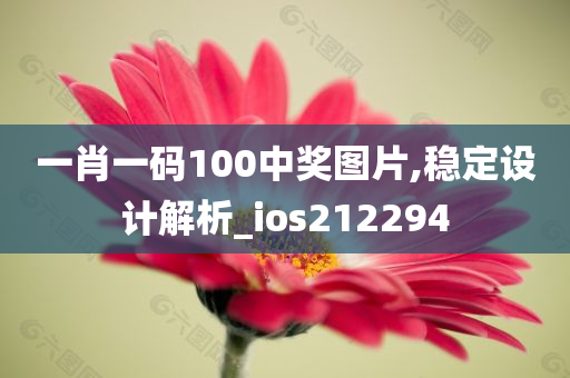 一肖一码100中奖图片,稳定设计解析_ios212294