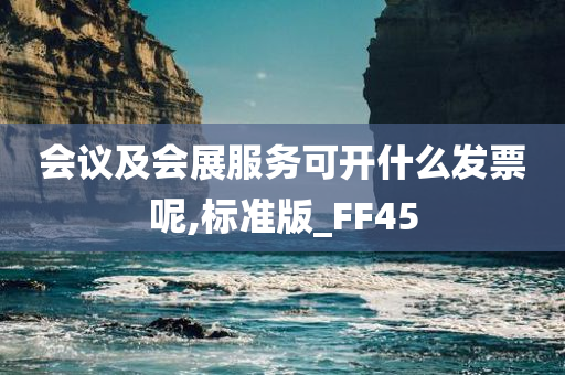 会议及会展服务可开什么发票呢,标准版_FF45