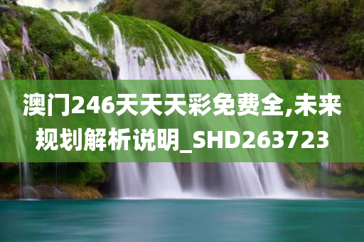 澳门246天天天彩免费全,未来规划解析说明_SHD263723