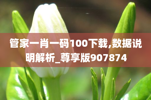 管家一肖一码100下载,数据说明解析_尊享版907874