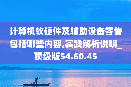 计算机软硬件及辅助设备零售包括哪些内容,实践解析说明_顶级版54.60.45