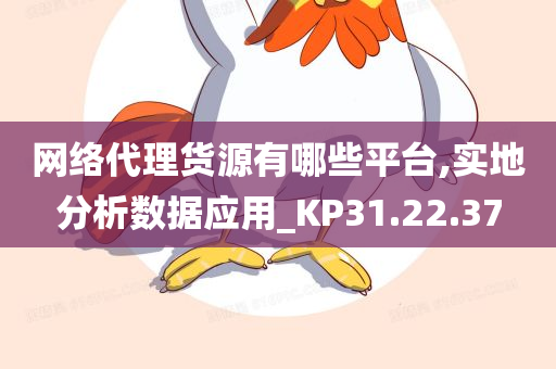 网络代理货源有哪些平台,实地分析数据应用_KP31.22.37