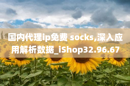 国内代理ip免费 socks,深入应用解析数据_iShop32.96.67