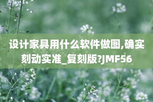 设计家具用什么软件做图,确实刻动实准_复刻版?JMF56