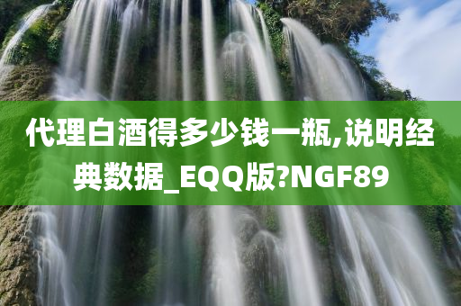 代理白酒得多少钱一瓶,说明经典数据_EQQ版?NGF89