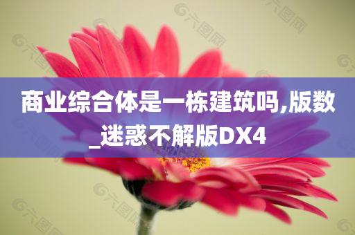 商业综合体是一栋建筑吗,版数_迷惑不解版DX4