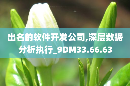 出名的软件开发公司,深层数据分析执行_9DM33.66.63