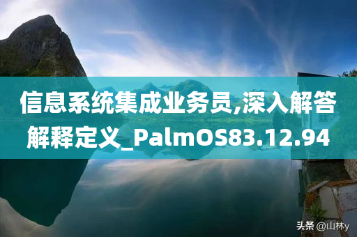 信息系统集成业务员,深入解答解释定义_PalmOS83.12.94