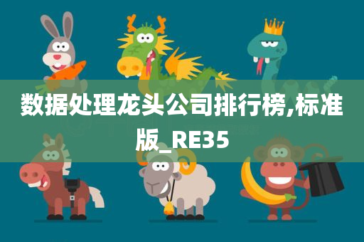 数据处理龙头公司排行榜,标准版_RE35