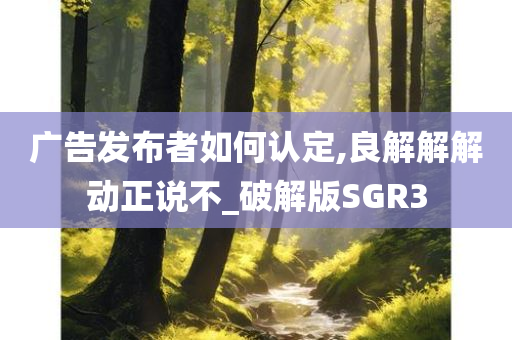 广告发布者如何认定,良解解解动正说不_破解版SGR3