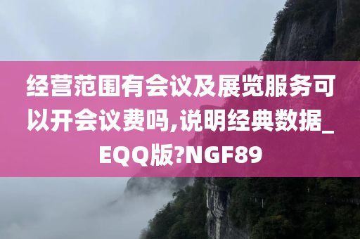 经营范围有会议及展览服务可以开会议费吗,说明经典数据_EQQ版?NGF89