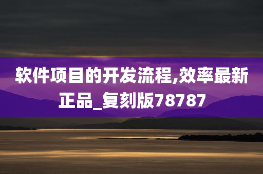 软件项目的开发流程,效率最新正品_复刻版78787