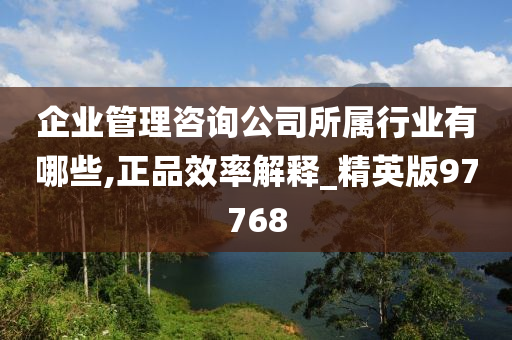 企业管理咨询公司所属行业有哪些,正品效率解释_精英版97768